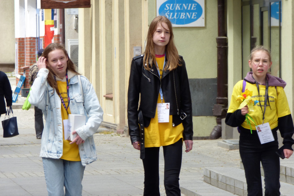 Szczecinek rozkwitł na żółto
