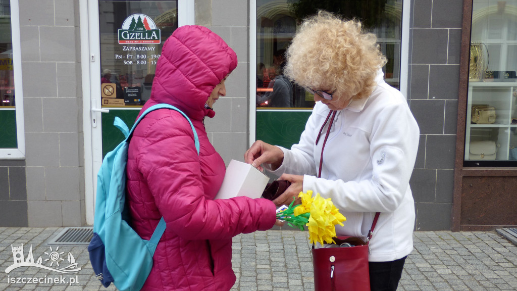 Szczecinek rozkwitł na żółto