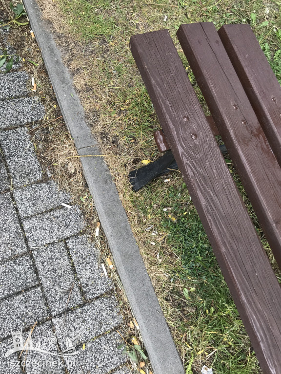 Pety w parku. Czytelnik: Wstydźcie się palacze! Jest to obrzydliwe.