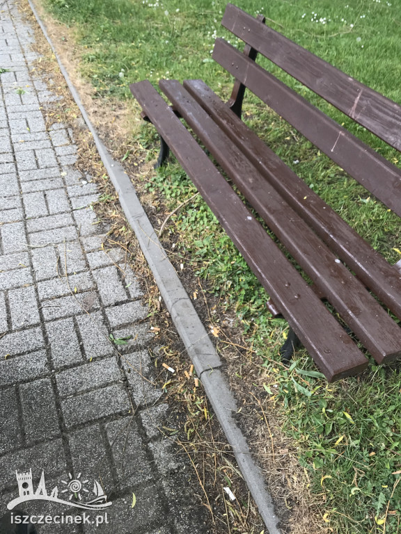 Pety w parku. Czytelnik: Wstydźcie się palacze! Jest to obrzydliwe.