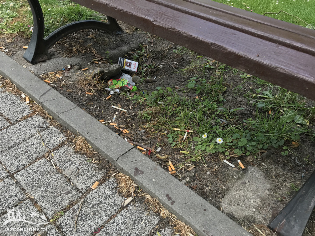 Pety w parku. Czytelnik: Wstydźcie się palacze! Jest to obrzydliwe.