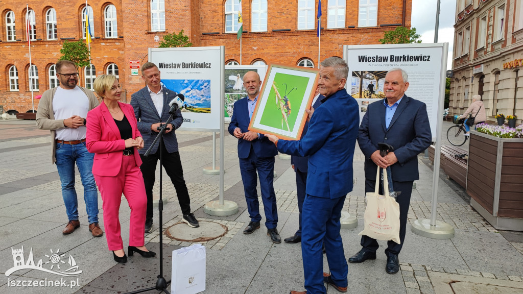 Przyroda w obiektywie Wiesława Burkiewicza. Przed ratuszem stanęła wystawa