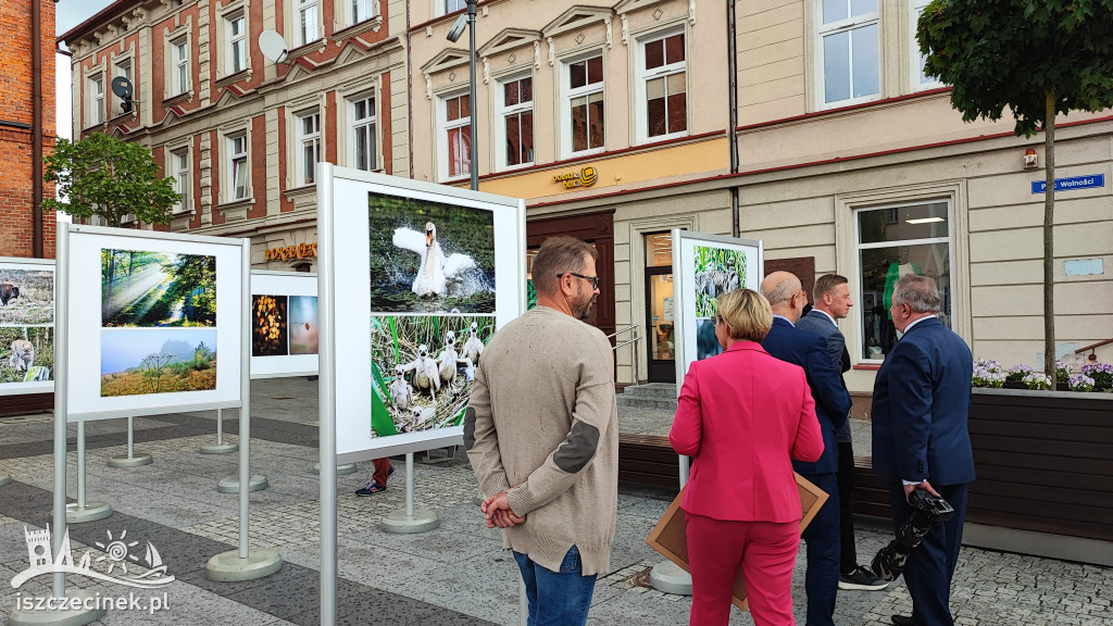 Przyroda w obiektywie Wiesława Burkiewicza. Przed ratuszem stanęła wystawa