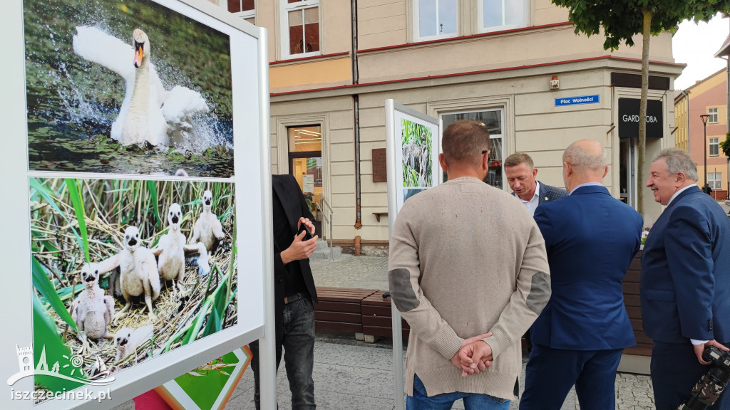 Przyroda w obiektywie Wiesława Burkiewicza. Przed ratuszem stanęła wystawa