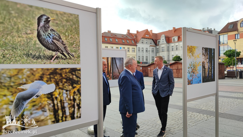 Przyroda w obiektywie Wiesława Burkiewicza. Przed ratuszem stanęła wystawa