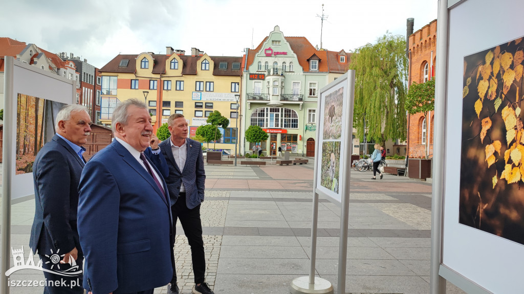 Przyroda w obiektywie Wiesława Burkiewicza. Przed ratuszem stanęła wystawa