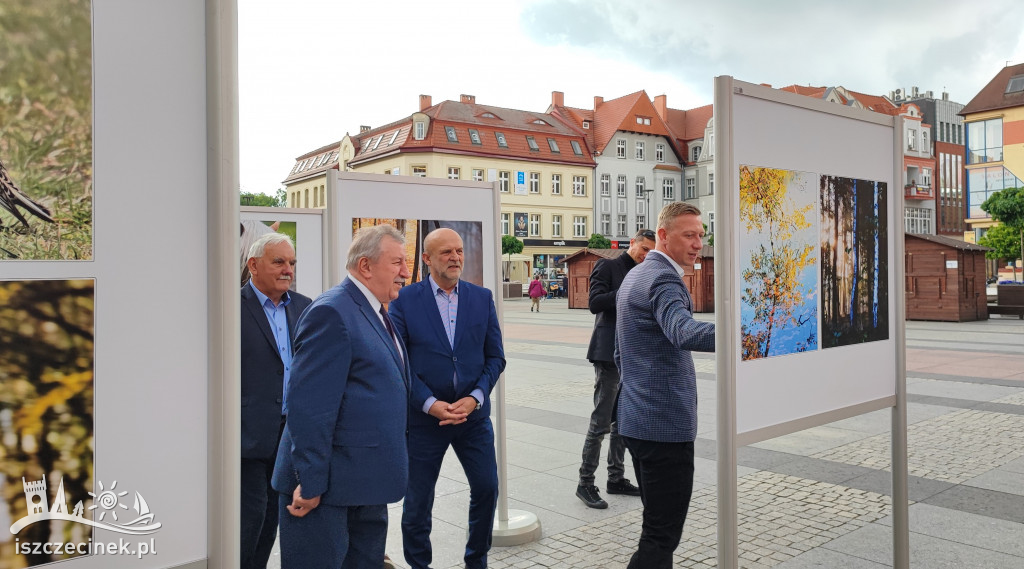 Przyroda w obiektywie Wiesława Burkiewicza. Przed ratuszem stanęła wystawa