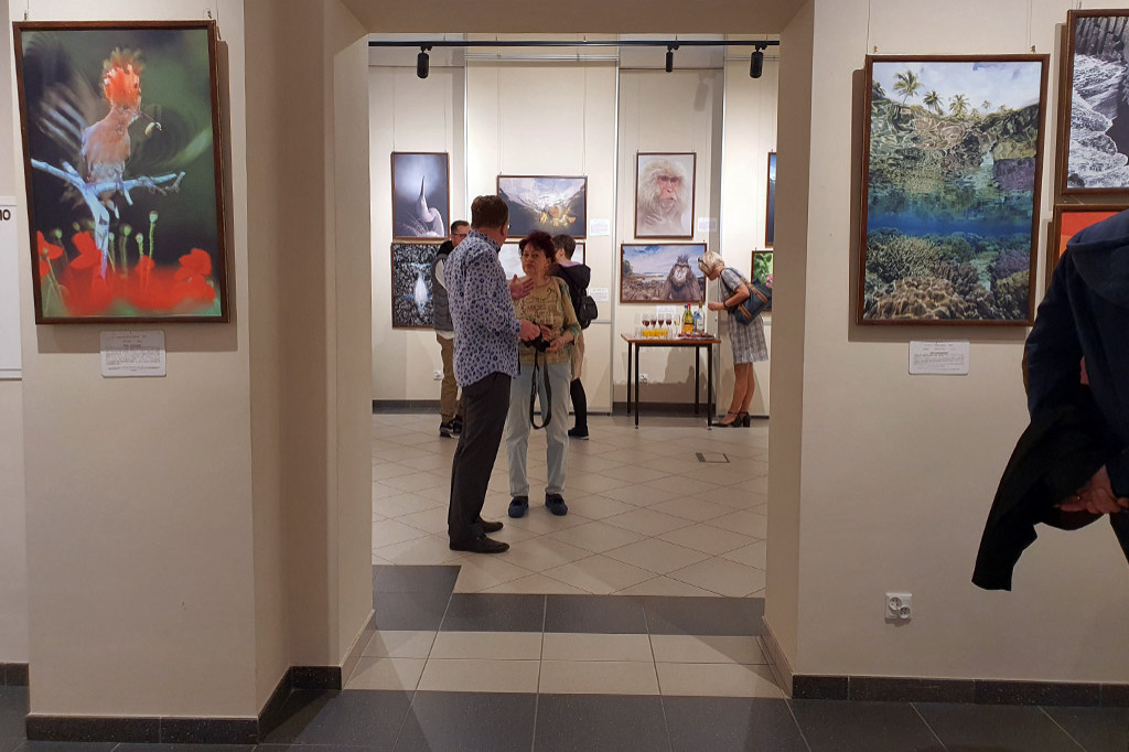 Życie w dzikiej odsłonie. Muzeum Regionalne zaprasza na wystawę fotografii.