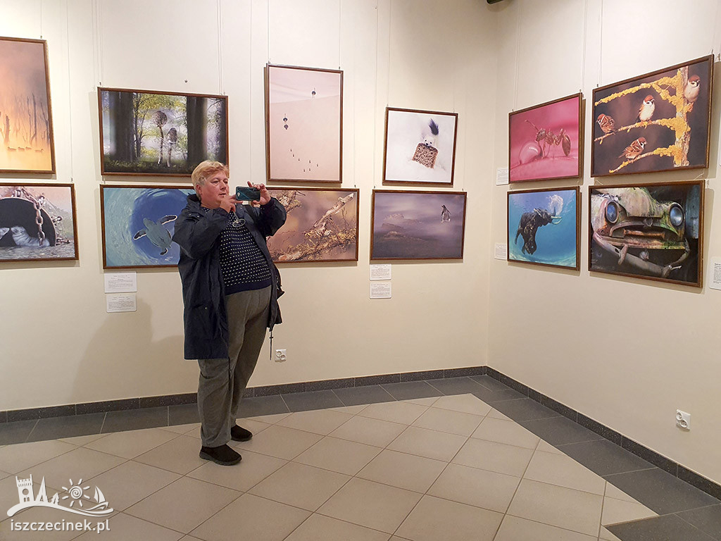 Życie w dzikiej odsłonie. Muzeum Regionalne zaprasza na wystawę fotografii.