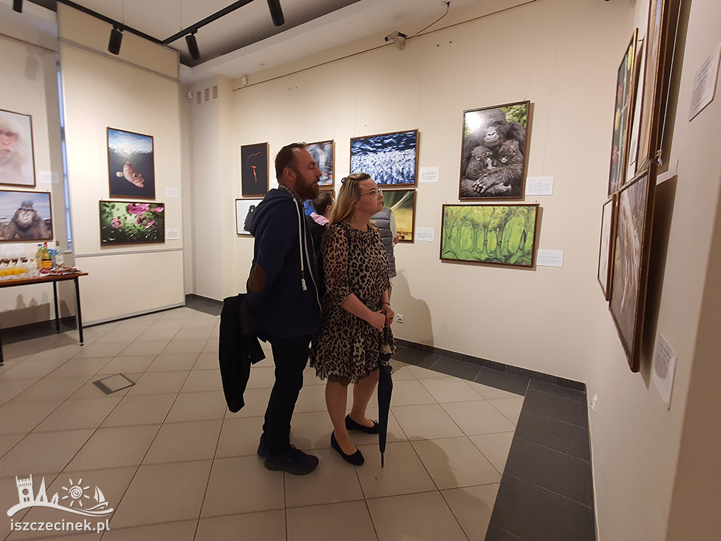 Życie w dzikiej odsłonie. Muzeum Regionalne zaprasza na wystawę fotografii.