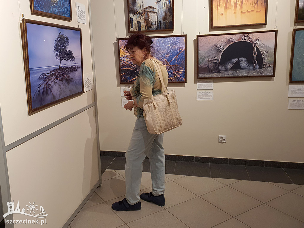 Życie w dzikiej odsłonie. Muzeum Regionalne zaprasza na wystawę fotografii.