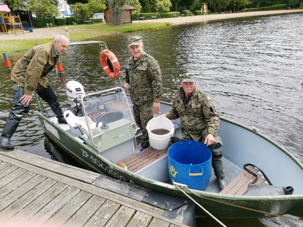 NA RYBY. Szczecineckie jeziora zarybione sandaczem