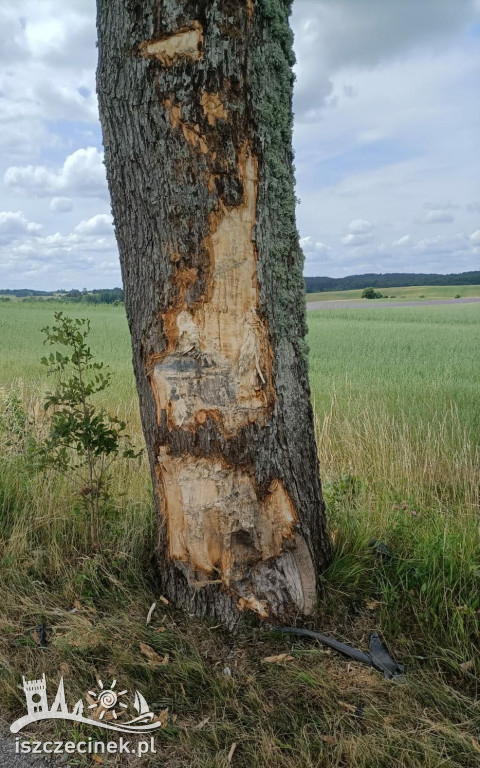 Ciężarówka roztrzaskała się na drzewie pod Barwicami