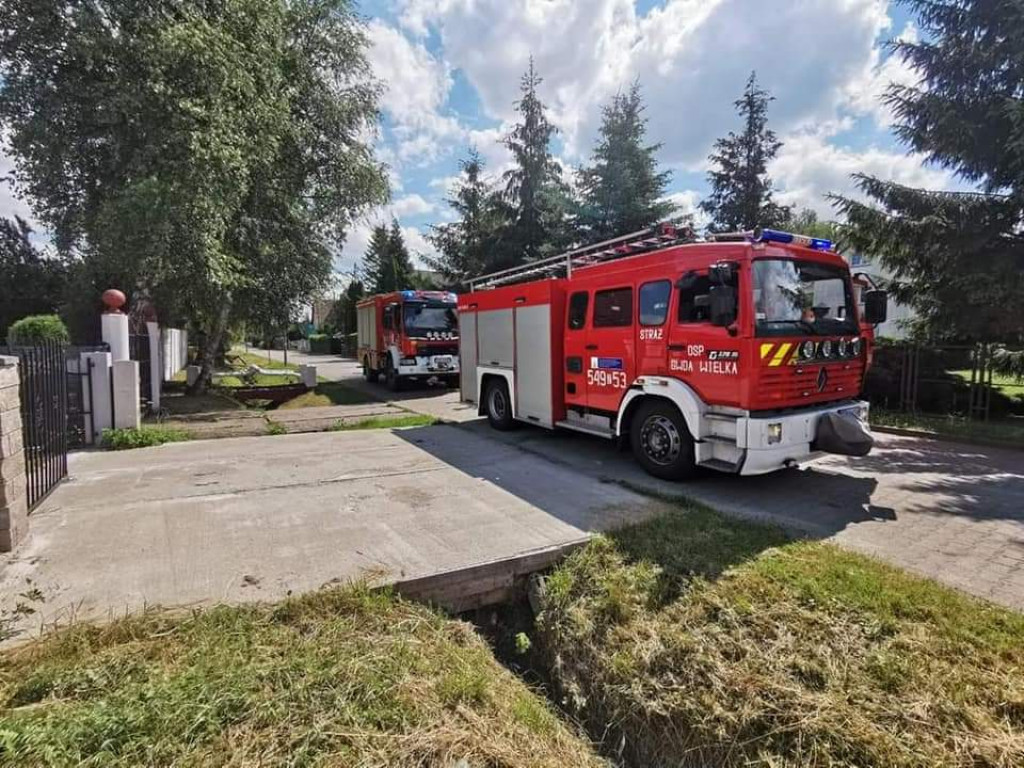 Koń w sadzawce. Na ratunek ruszyli strażacy