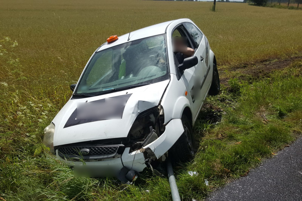 DRZONOWO. Osobówka wypadła z drogi i uderzyła w znak