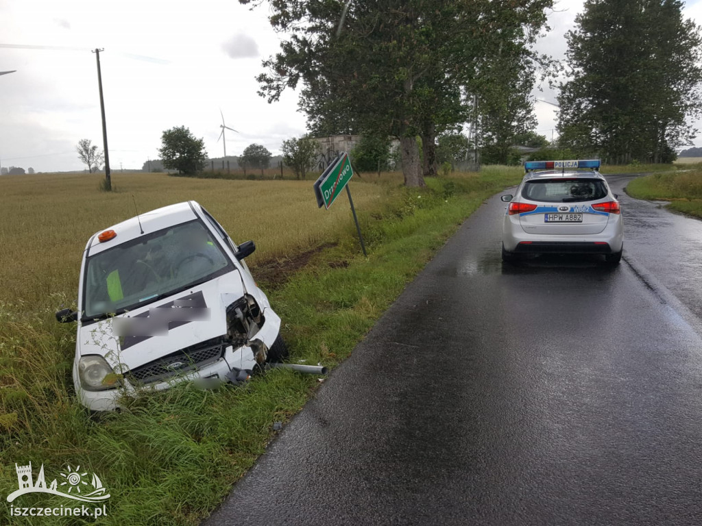DRZONOWO. Osobówka wypadła z drogi i uderzyła w znak