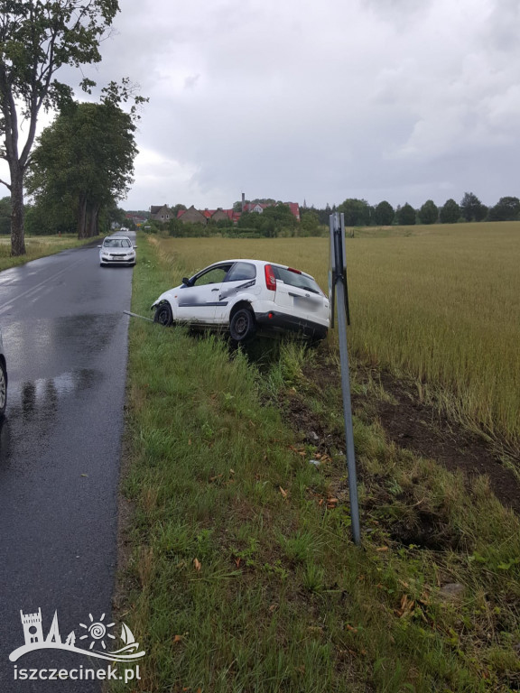 DRZONOWO. Osobówka wypadła z drogi i uderzyła w znak