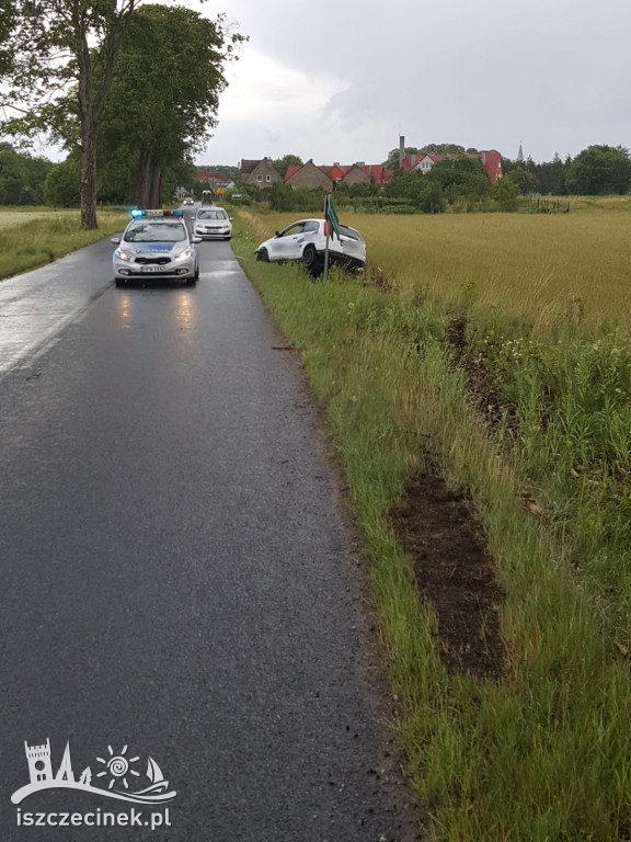 DRZONOWO. Osobówka wypadła z drogi i uderzyła w znak