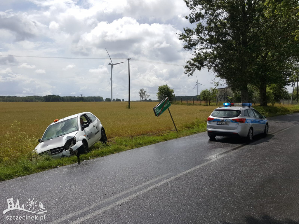 DRZONOWO. Osobówka wypadła z drogi i uderzyła w znak