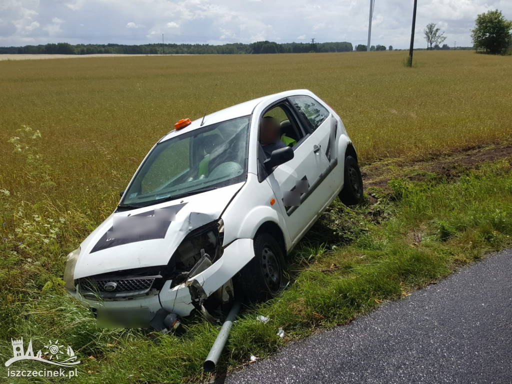 DRZONOWO. Osobówka wypadła z drogi i uderzyła w znak