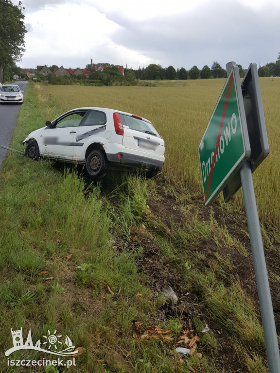 DRZONOWO. Osobówka wypadła z drogi i uderzyła w znak