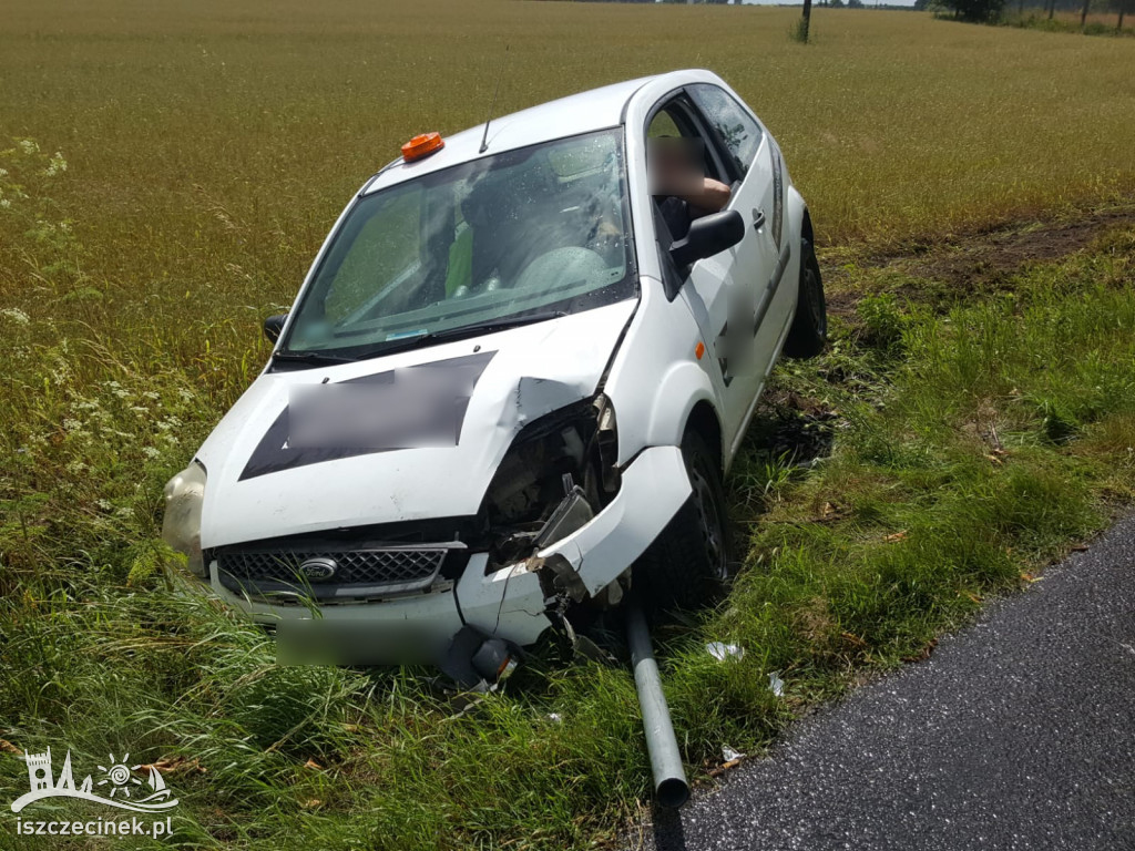 DRZONOWO. Osobówka wypadła z drogi i uderzyła w znak