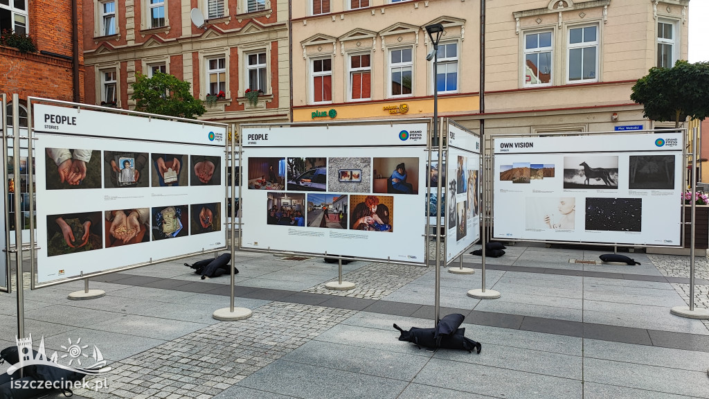 Przed ratuszem stanęła wystawa Grand Press Photo 2022