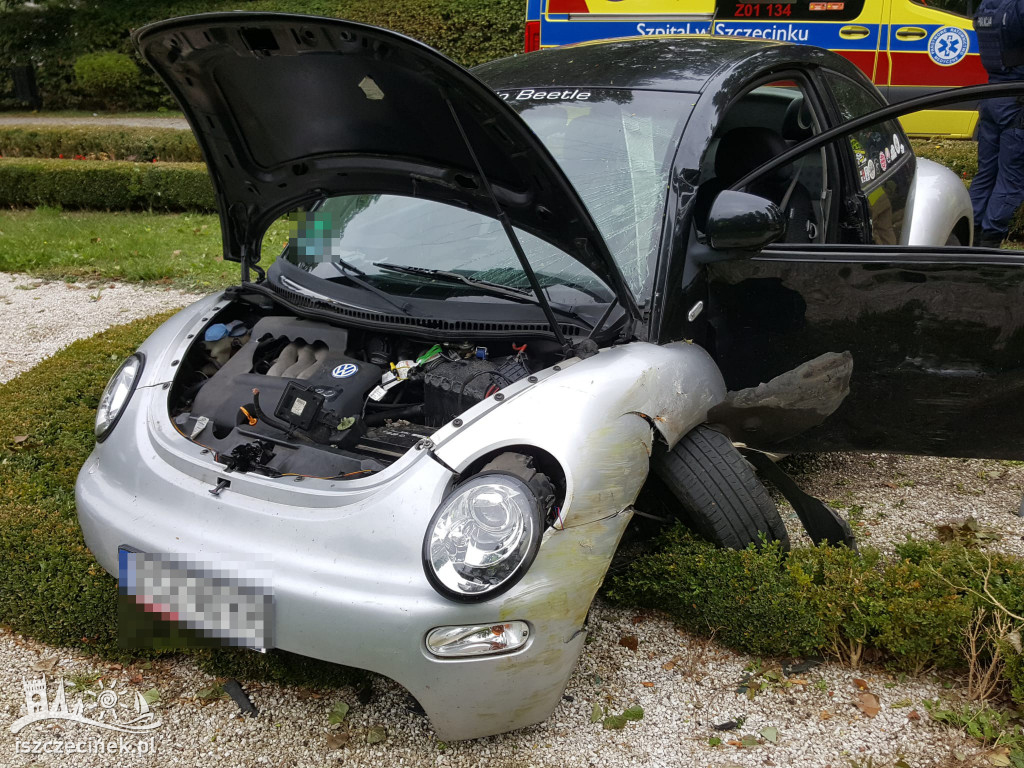 Zasłabł za kierownicą. Samochód wpadł do parku