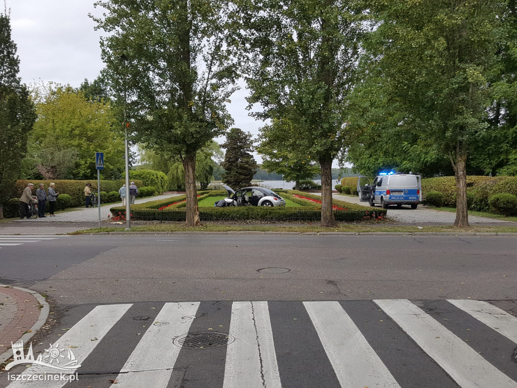 Zasłabł za kierownicą. Samochód wpadł do parku