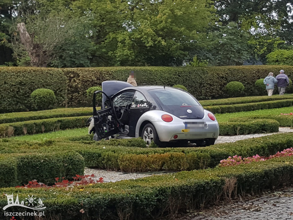Zasłabł za kierownicą. Samochód wpadł do parku