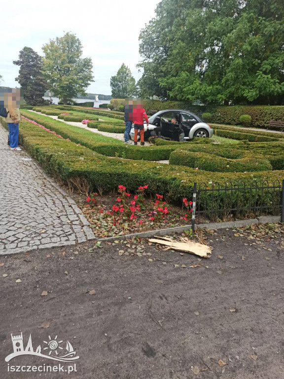 Zasłabł za kierownicą. Samochód wpadł do parku