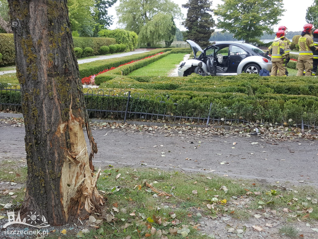 Zasłabł za kierownicą. Samochód wpadł do parku