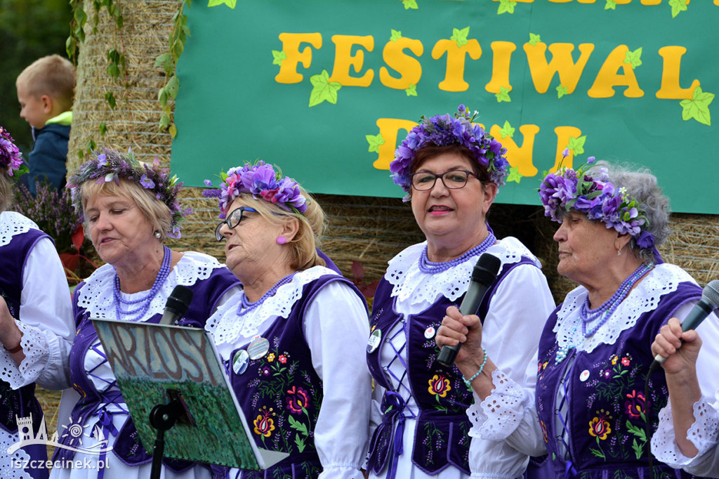 Rodzinny Festiwal Dyni - Radacz 2022