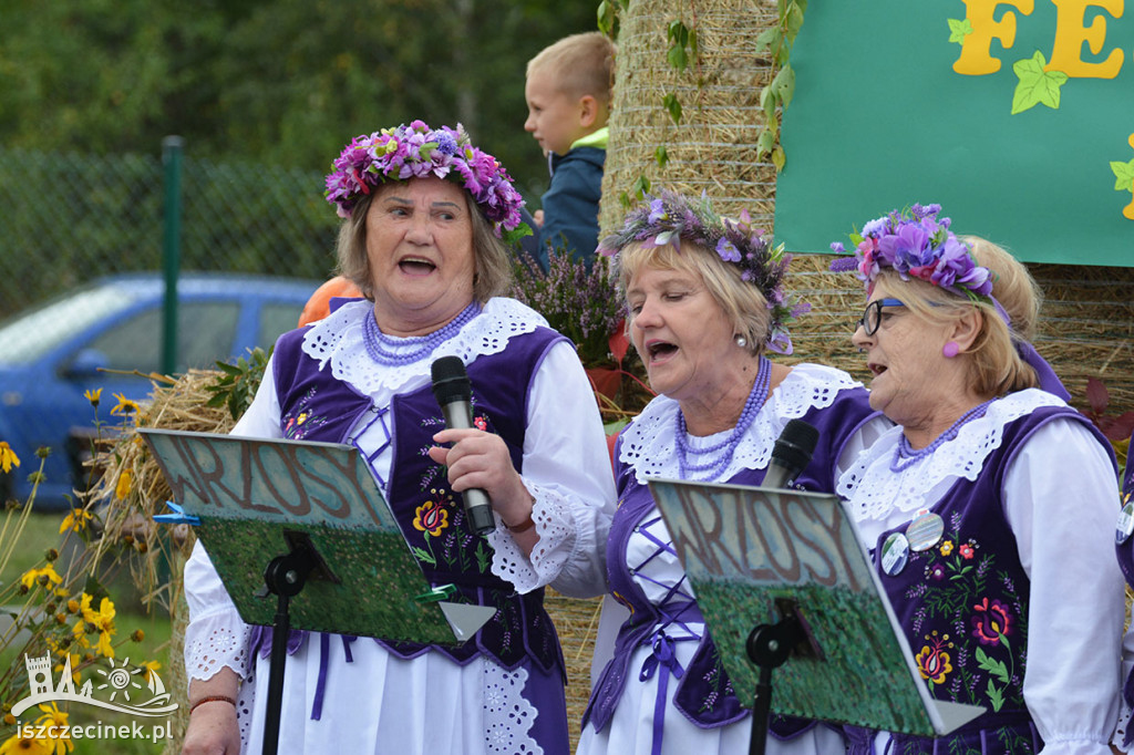 Rodzinny Festiwal Dyni - Radacz 2022