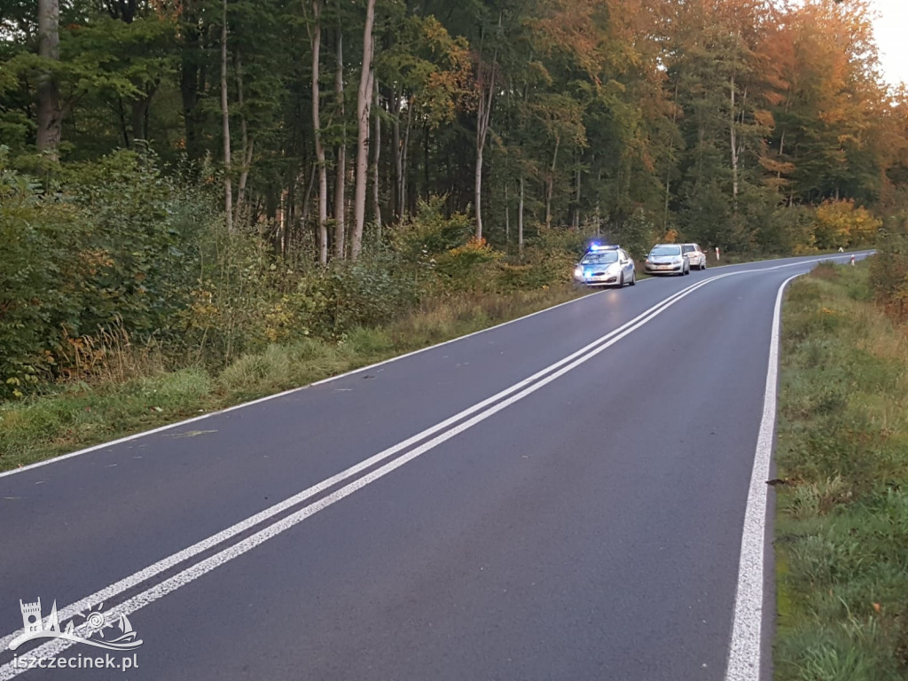 Dachował i wpadł do lasu. Kierowca chevroleta zabrany do szpitala