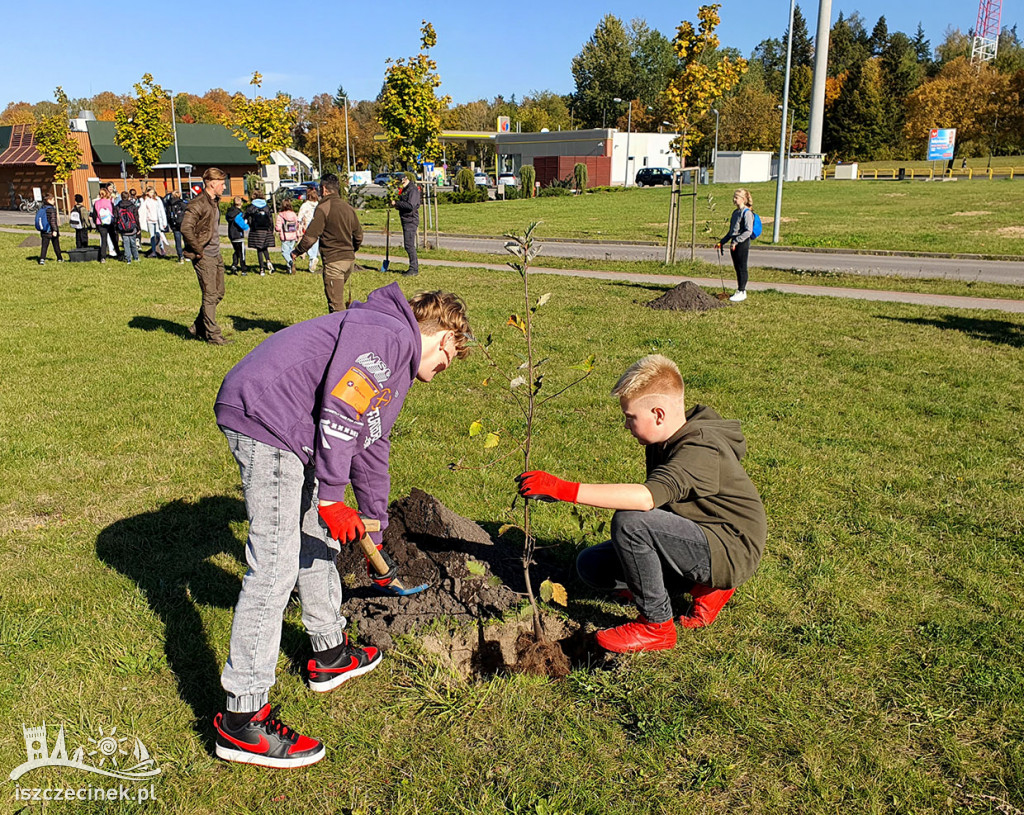 Szczecinek – od teraz jeszcze bardziej zielony