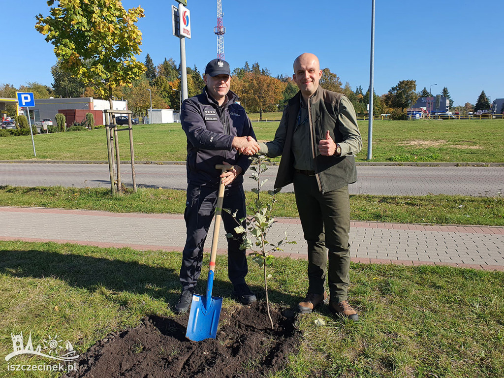 Szczecinek – od teraz jeszcze bardziej zielony
