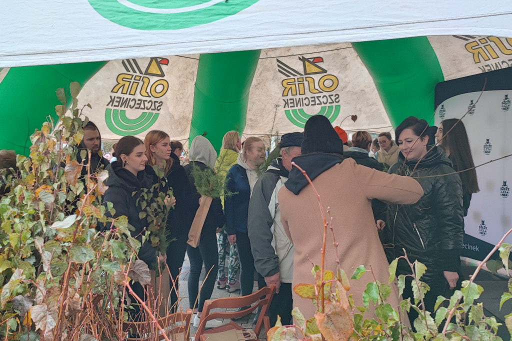 Przed ratuszem dzielili się zielenią