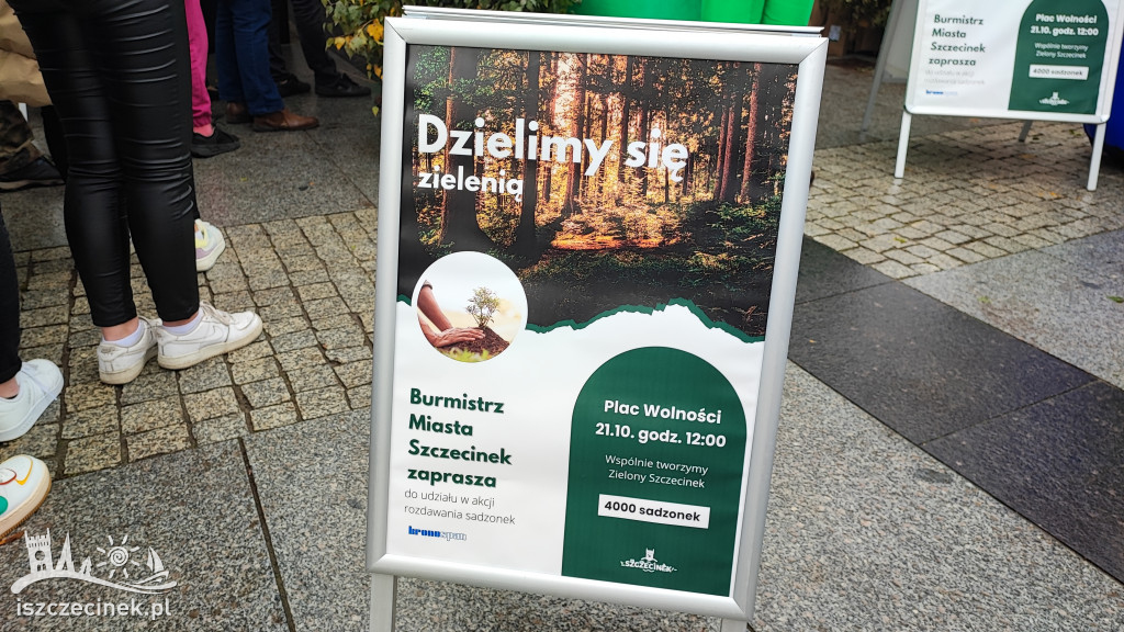 Przed ratuszem dzielili się zielenią