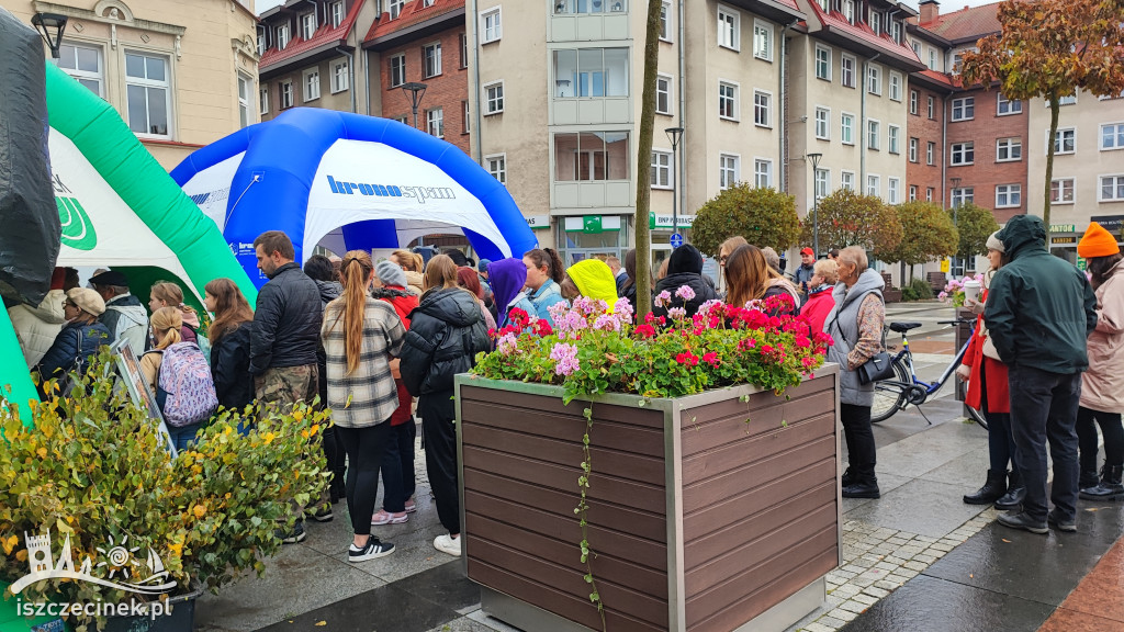 Przed ratuszem dzielili się zielenią