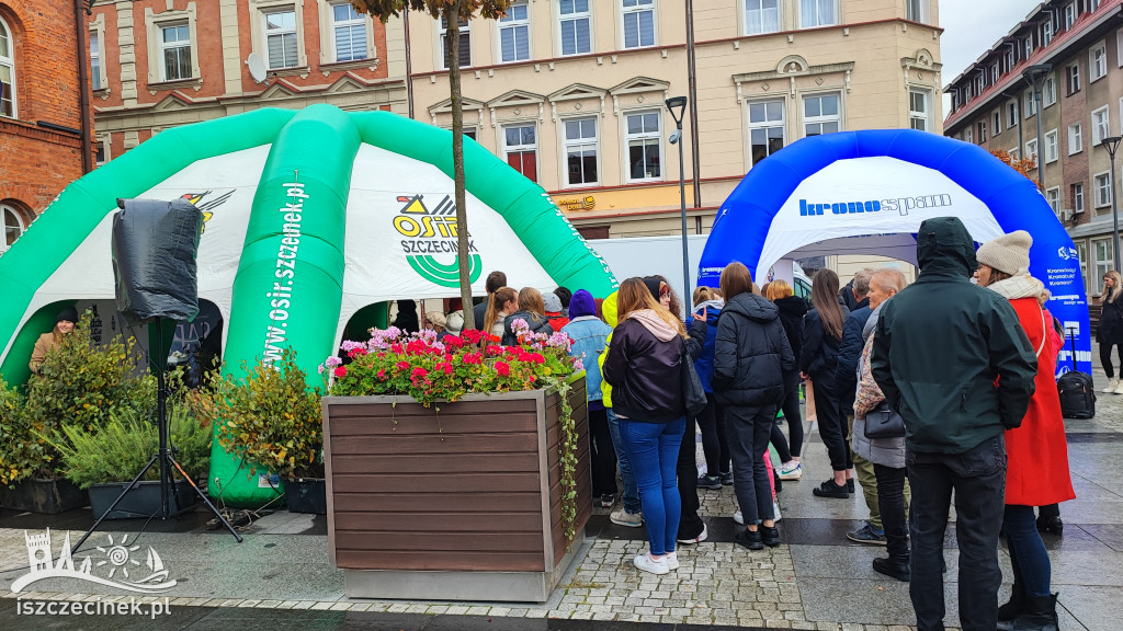 Przed ratuszem dzielili się zielenią