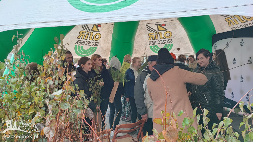 Przed ratuszem dzielili się zielenią