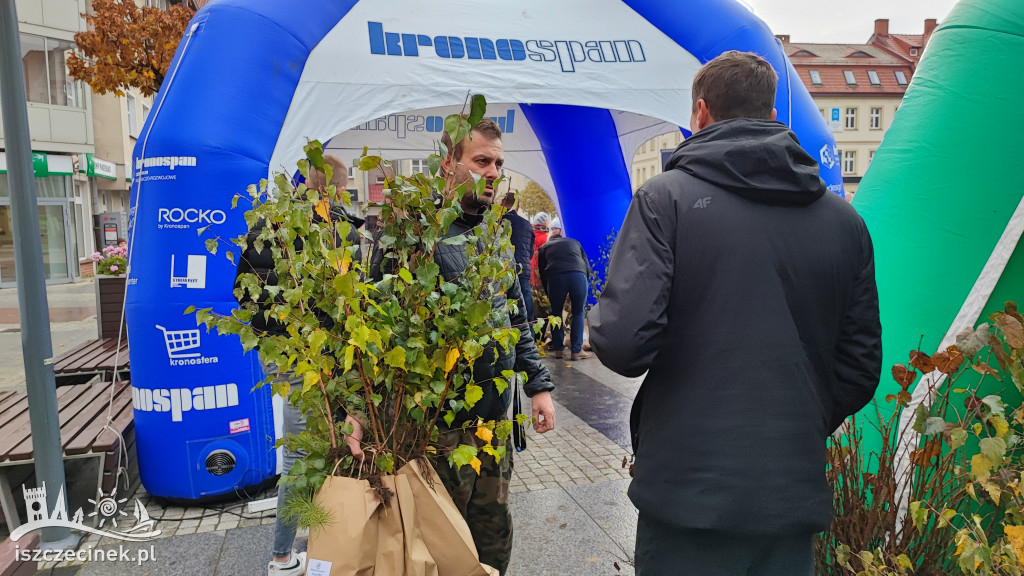 Przed ratuszem dzielili się zielenią