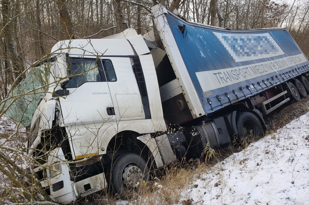 Ciężarówka roztrzaskała się na drzewie, na drodze wojewódzkiej nr 172.