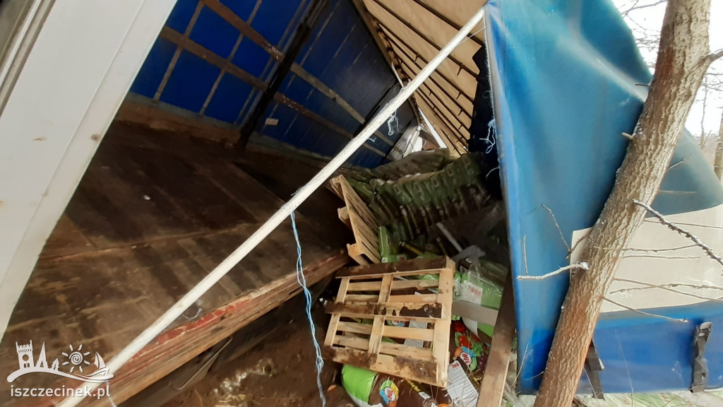 Ciężarówka roztrzaskała się na drzewie, na drodze wojewódzkiej nr 172.