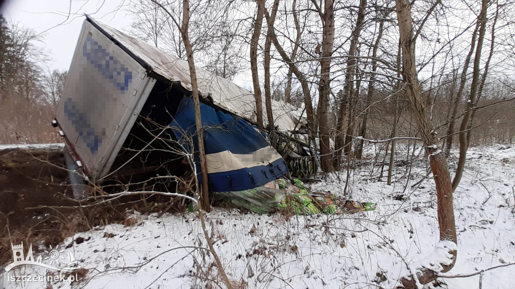 Ciężarówka roztrzaskała się na drzewie, na drodze wojewódzkiej nr 172.