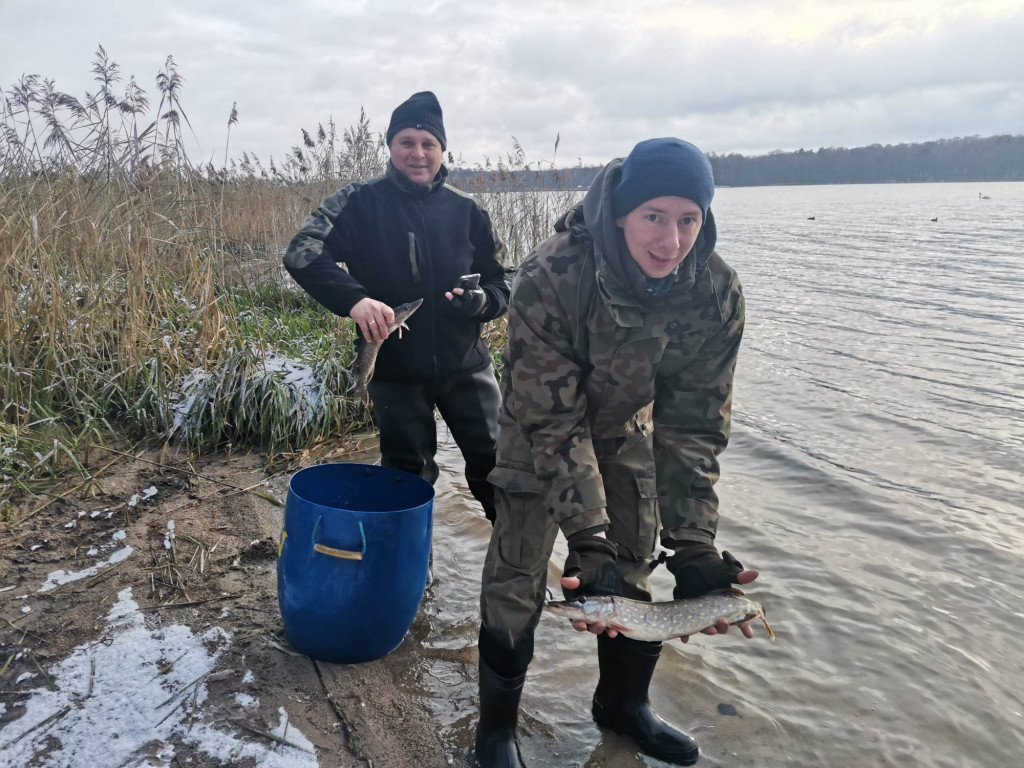 NA RYBY. Trwa grudniowa akcja zarybiania jezior