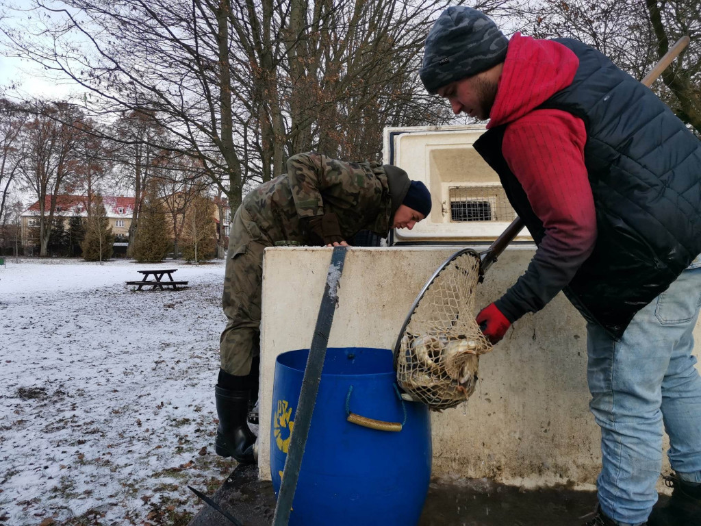 NA RYBY. Trwa grudniowa akcja zarybiania jezior