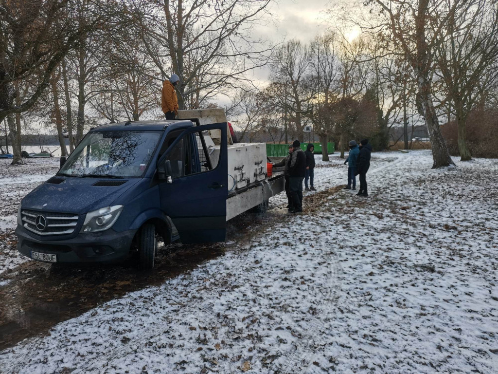 NA RYBY. Trwa grudniowa akcja zarybiania jezior