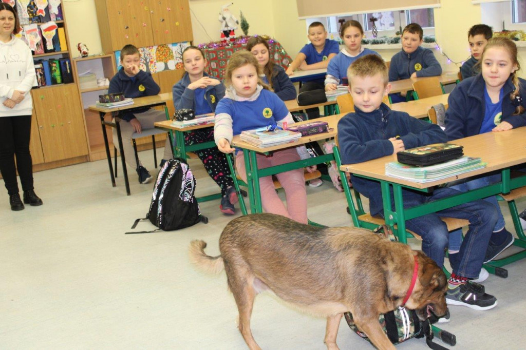 W gminie Barwice już wiedzą, jak funkcjonują „Pies i wilk w świecie ludzi”.